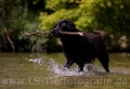 35 Wasseraction